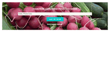 Tablet Screenshot of oiva.evira.fi